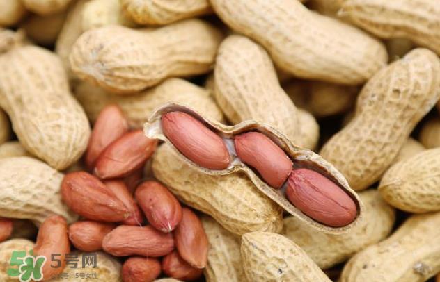 花生有哪些种类型？花生怎么栽培管理？