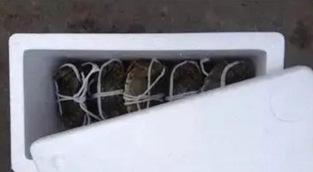 大闸蟹没吃完怎么储存,收到礼盒装大闸蟹一箱,怎么保存可以久一点,我后天拿回家才吃,住的地方没冰箱?图5