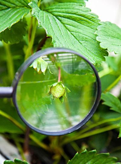 虚像能再用放大镜放大吗