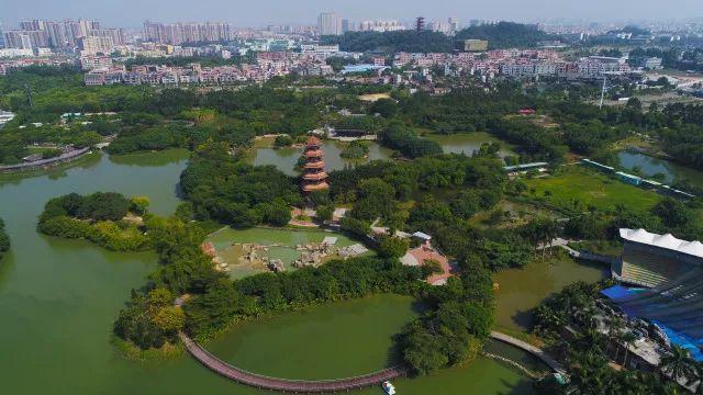 莞商传奇 | 莞商凭什么“冇问题”?就凭……