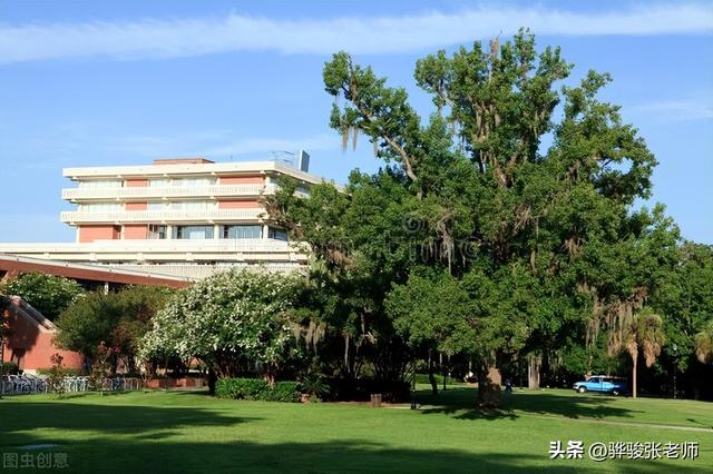 文科十大冷门专业(文科9大尴尬专业)(2)