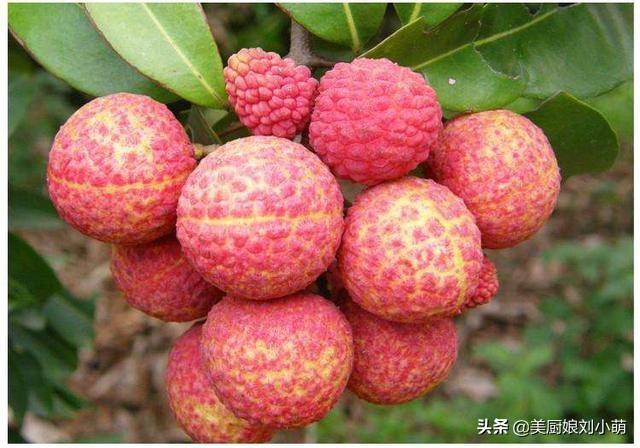 vc多的水果有哪些(vc含量多的十种水果)