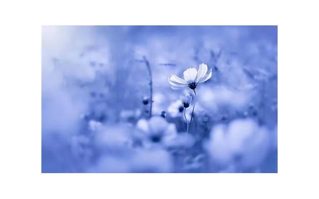 和女生聊天让女生最感兴趣的话题(和女生聊天聊点什么话题比较好)