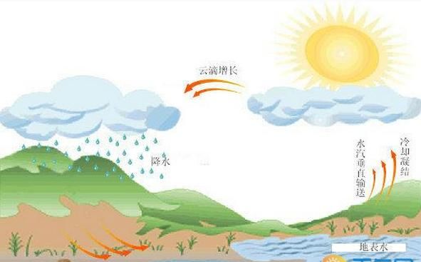 闯雨有什么特点30字