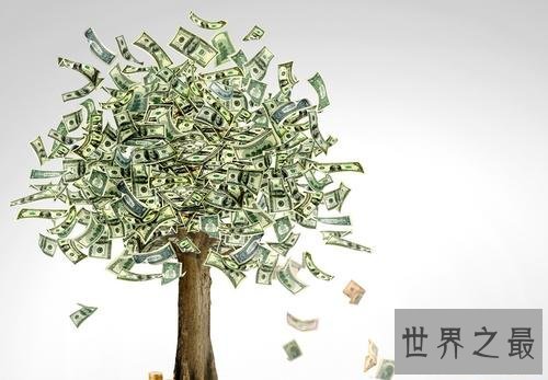 世界上最大的摇钱树，有密集恐惧症的人别看！
