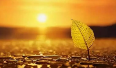 ​释怀是什么意思,释怀是什么意思解释一下