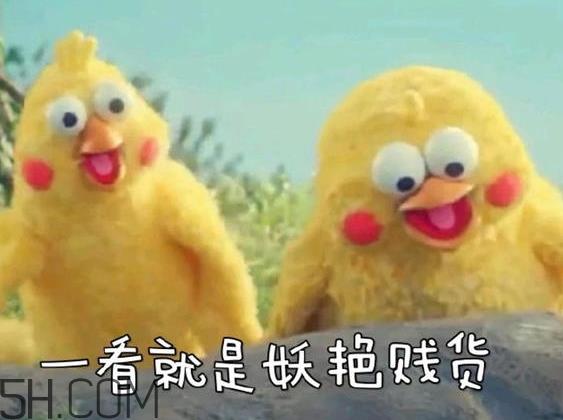 你们都是臭袜子什么意思?你们都是臭袜子表情包 你们都是臭袜子什么意思?你们都是臭袜子表情包