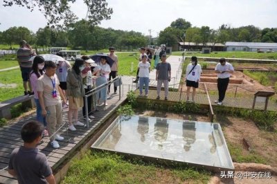 ​凌家滩遗址：俯身一眸见千年