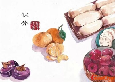 ​秋分吃什么风俗食物？秋分吃什么养生最好