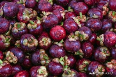 ​山竹什么样的是坏的？食用禁忌有哪些？