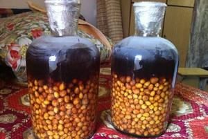 黄皮洒怎样做,黄皮酒怎样做图9