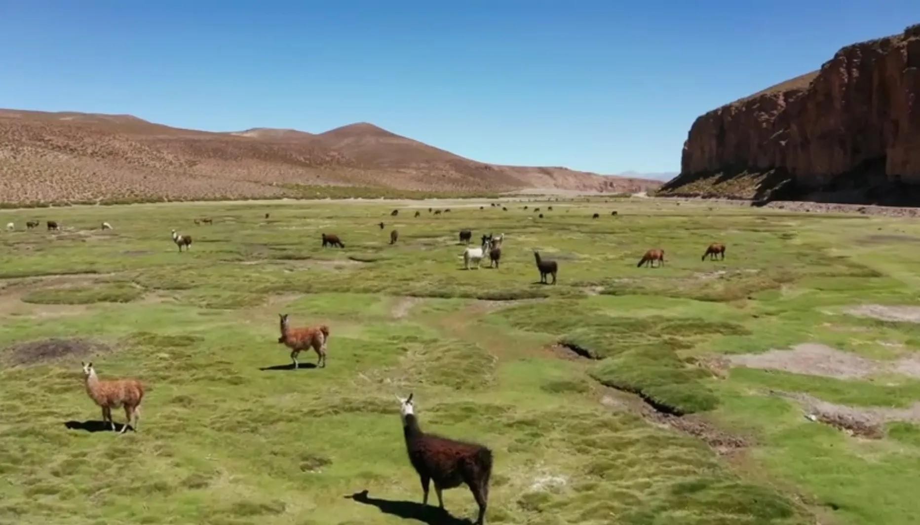世界上最长的山脉是什么(世界上最长的山脉是)