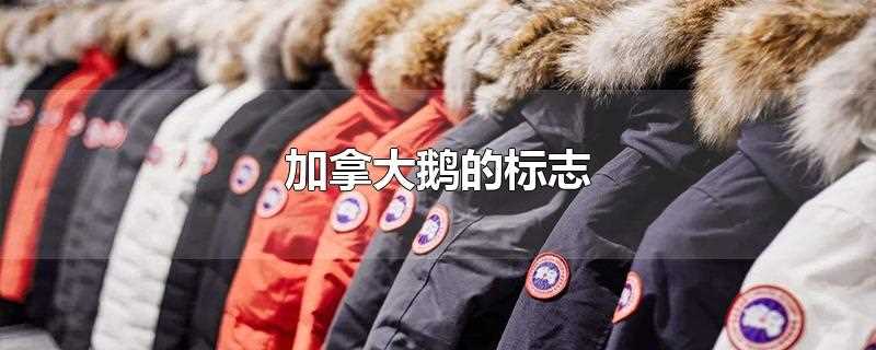 加拿大鹅的标志(加拿大鹅的标志什么意思)