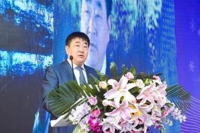 ​通化山葡萄酒(通化山葡萄酒怎么样)