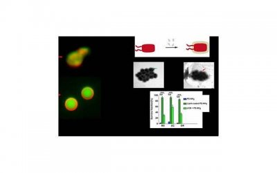 ​三种人不宜食用大豆卵磷脂的警示