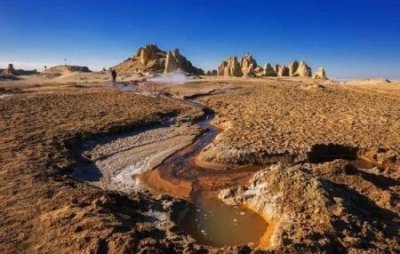 ​未解之谜：地球上最大的五步蛇 地球上最大的五步蛇