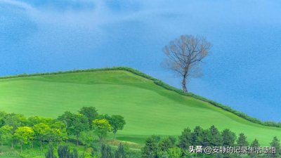 ​对一个人最狠的报复，就是这6个字，不仅聪明还很有格局