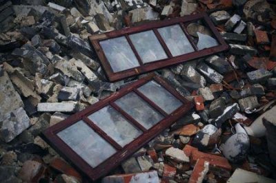 活蜈蚣一只多少元