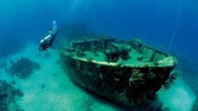 ​海苔、紫菜、裙带菜，是同一种东西吗？中国哪里的海菜最好吃？