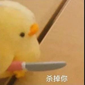 吃瓜丨王思聪做舔狗，爱而不得开撕女网红21