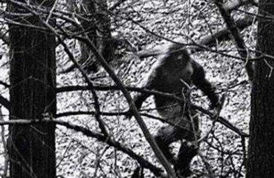 ​电饭煲怎么煮白粥用电饭煲如何煮白粥