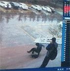 清库存了!2025最搞笑图片合集,笑到打鸣