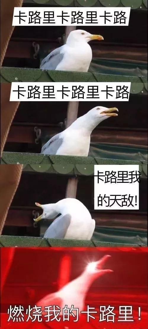 清库存了!2025最搞笑图片合集,笑到打鸣