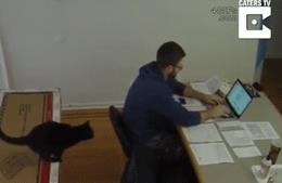 清库存了!2025最搞笑图片合集,笑到打鸣