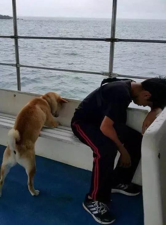 清库存了!2025最搞笑图片合集,笑到打鸣