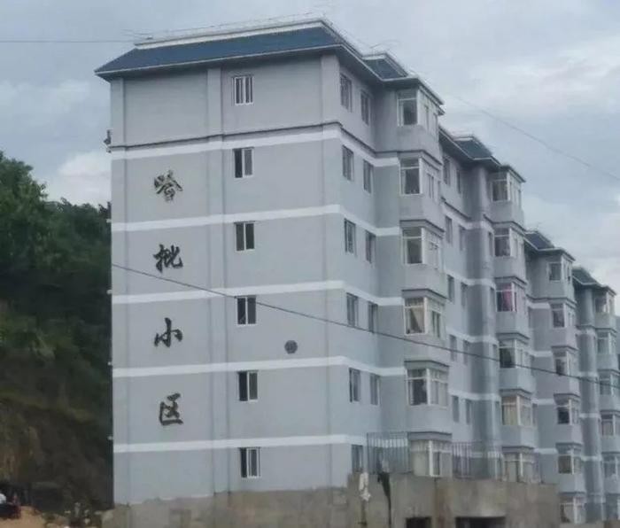 清库存了!2025最搞笑图片合集,笑到打鸣