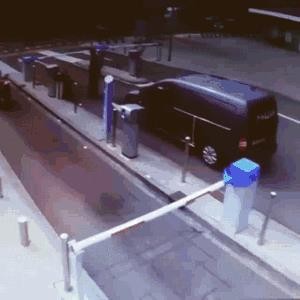 清库存了!2025最搞笑图片合集,笑到打鸣