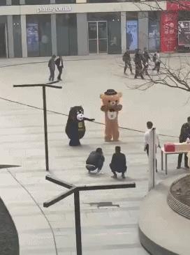 清库存了!2025最搞笑图片合集,笑到打鸣