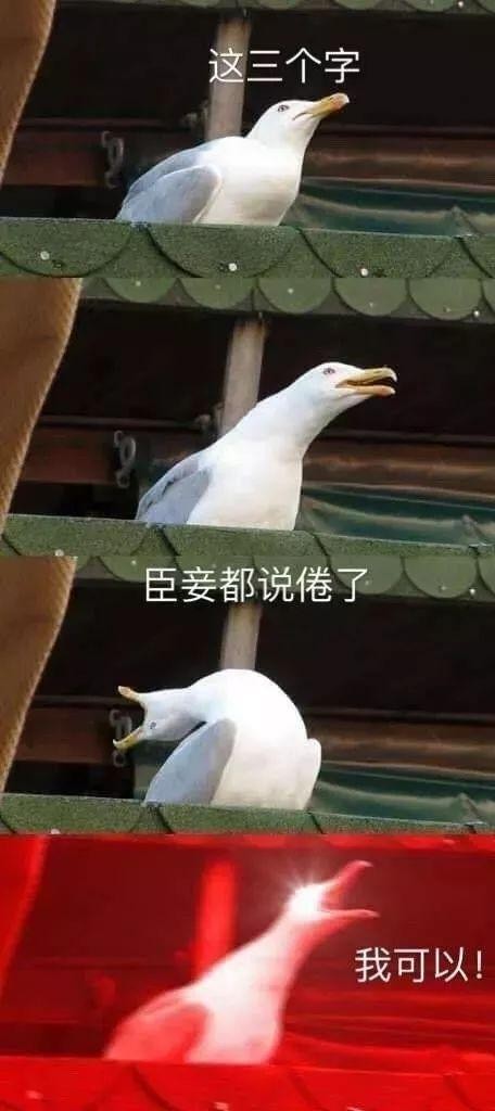 清库存了!2025最搞笑图片合集,笑到打鸣