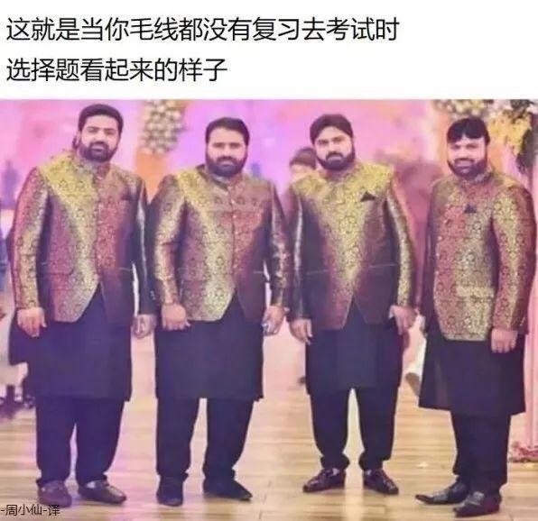 清库存了!2025最搞笑图片合集,笑到打鸣