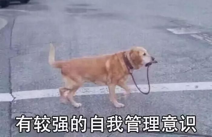 清库存了!2025最搞笑图片合集,笑到打鸣