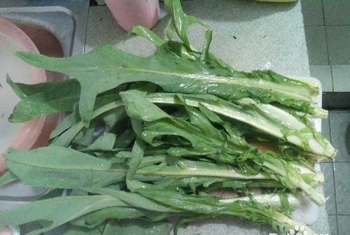 蒜蓉苦麦菜的家常做法大全怎么做好吃