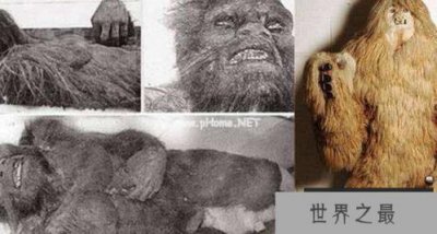 ​中国十大神秘生物世界里真的有龙吗?