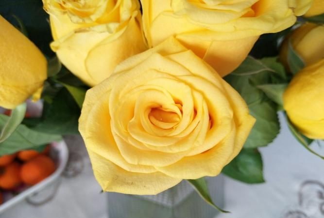 黄玫瑰在西方代表什么