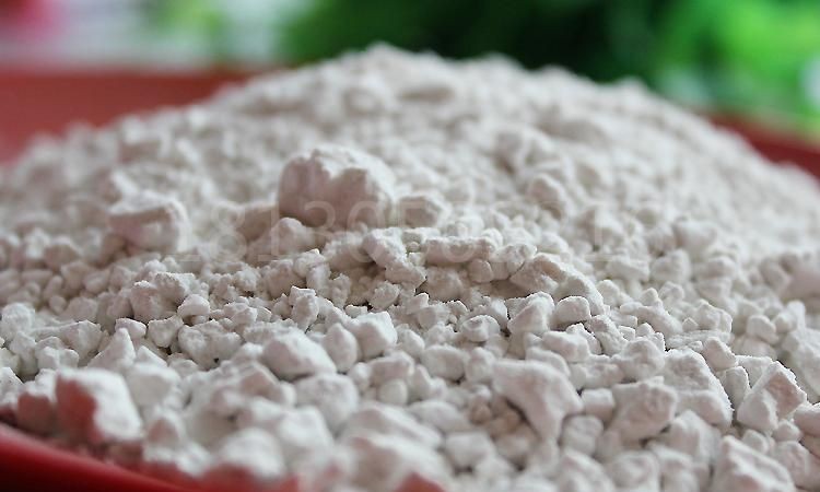 山芋粉又叫什么粉