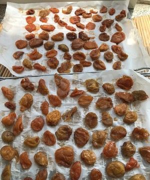 杏干的做法大全家常