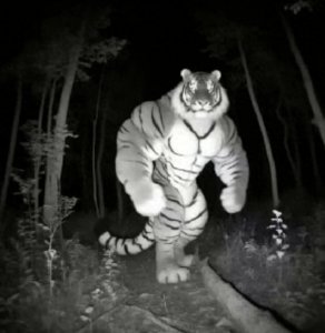 ​中年失业男人还能做什么？