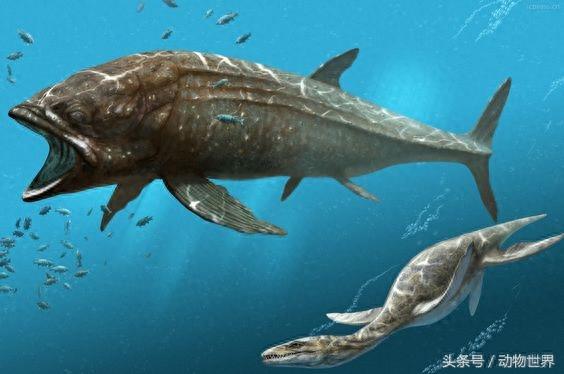 有史以来最巨大的硬骨鱼-利兹鱼