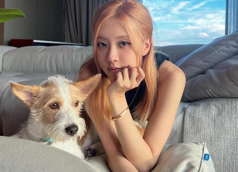 怎样拍血气方刚的抖音案牍（拍抖音视频怎样写案牍）