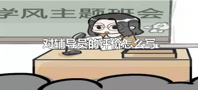 对辅导员的评价怎么写（如何写对辅导员的评价）