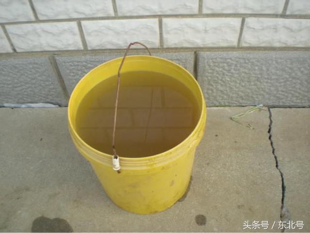 东北人，我来教你下东北大酱