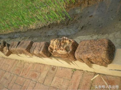 ​东北人，我来教你下东北大酱