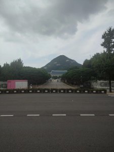 ​文：青瓦台魔咒