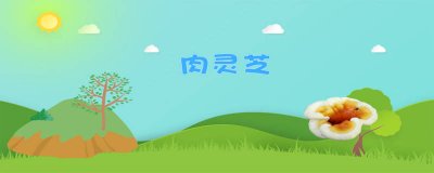 ​太岁长什么样子图片 太岁长得什么样子图片