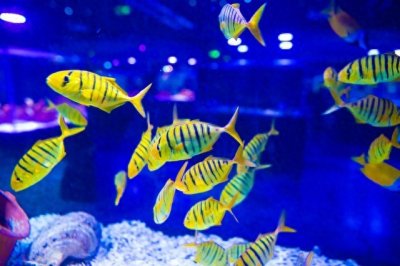 ​海昌极地海洋馆，国家海洋博物馆，天津哪个海洋馆好玩