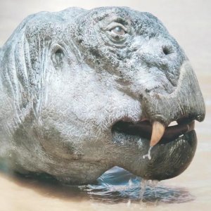 ​地球古生物——水龙兽